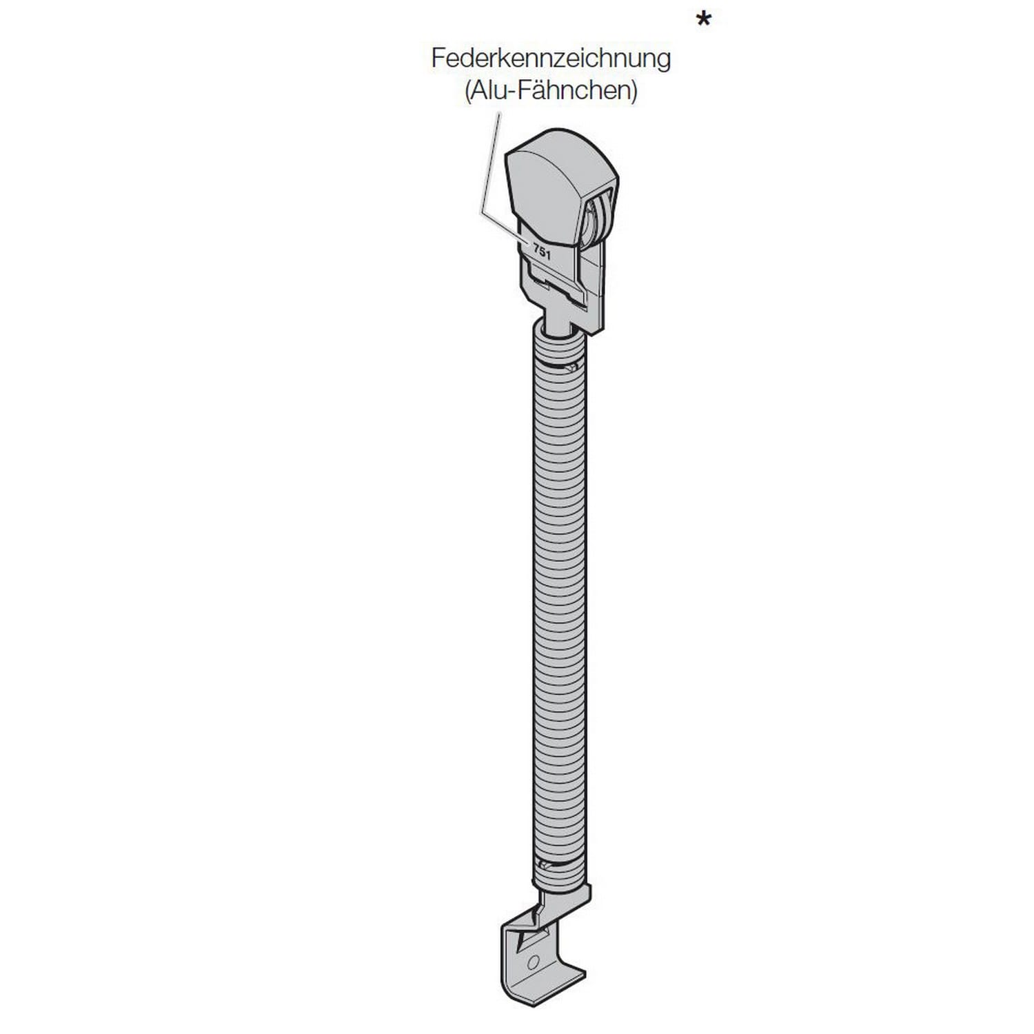 Hörmann Zugfederpaket Typ 1, Nr. 762, Länge: 869mm für Sektionaltor BILD 9